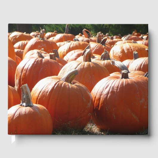 秋、ハロウィーン、感謝祭のカボチャの写真 ゲストブック (正面)