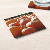 秋、ハロウィーン、感謝祭のカボチャの写真 スクエアペーパーコースター (アングル)