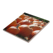 秋、ハロウィーン、感謝祭のカボチャの写真 タイル (側面)