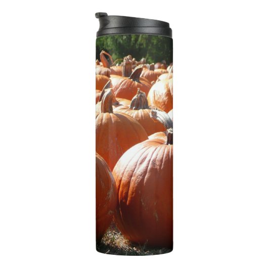 秋、ハロウィーン、感謝祭のカボチャの写真 タンブラー (回転右)