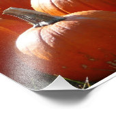 秋、ハロウィーン、感謝祭のカボチャの写真 フォトプリント            (角)