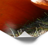 秋、ハロウィーン、感謝祭のカボチャの写真 ポスター (コーナー)