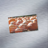 秋、ハロウィーン、感謝祭のカボチャの写真 マグネット名刺 (インサイチュ)