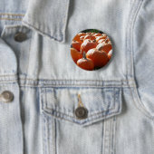 秋、ハロウィーン、感謝祭のカボチャの写真 缶バッジ (インサイチュ)