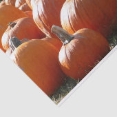 秋、ハロウィーン、感謝祭のカボチャの写真 薄葉紙 (詳細)