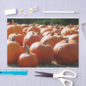 秋、ハロウィーン、感謝祭のカボチャの写真 薄葉紙 (クラフト)