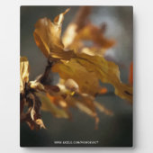 秋 フォトプラーク (正面)