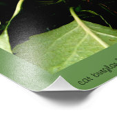 秋 フォトプリント            (角)