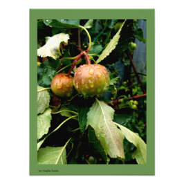 秋 フォトプリント           