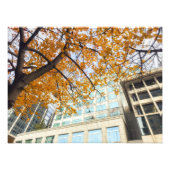 秋 フォトプリント            (正面)