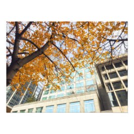 秋 フォトプリント           