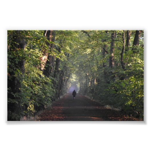 秋 フォトプリント            (正面)