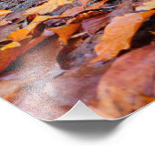 秋 フォトプリント            (角)