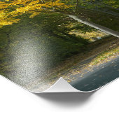 秋 フォトプリント            (角)