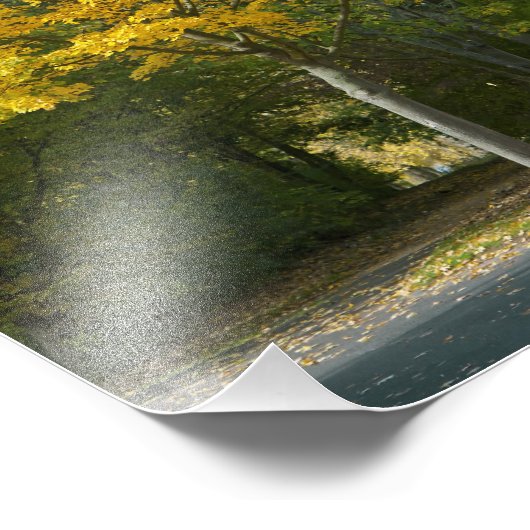 秋 フォトプリント            (角)