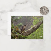 秋 – ペレグリン《鳥》ハヤブサ ノートカード (正面/裏面インサイチュ)