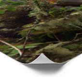 秋 – ペレグリン《鳥》ハヤブサ ポスター (角)