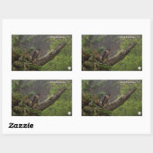 秋 – ペレグリン《鳥》ハヤブサ 長方形シール (シート)