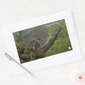 秋 – ペレグリン《鳥》ハヤブサ 長方形シール (封筒)