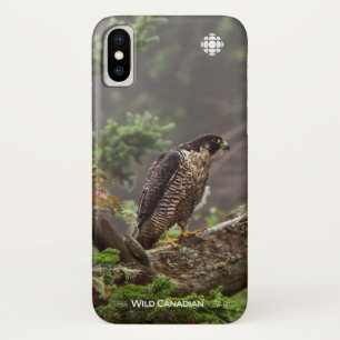 秋 – ペレグリン《鳥》ハヤブサ iPhone X ケース