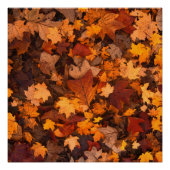 秋 ポスター (正面)