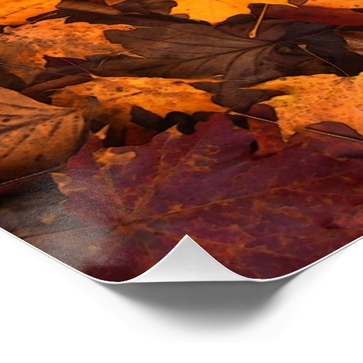 秋 ポスター (コーナー)