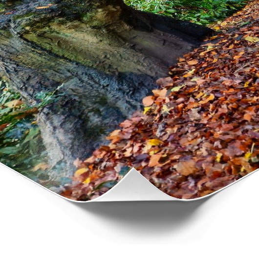 秋 ポスター (コーナー)