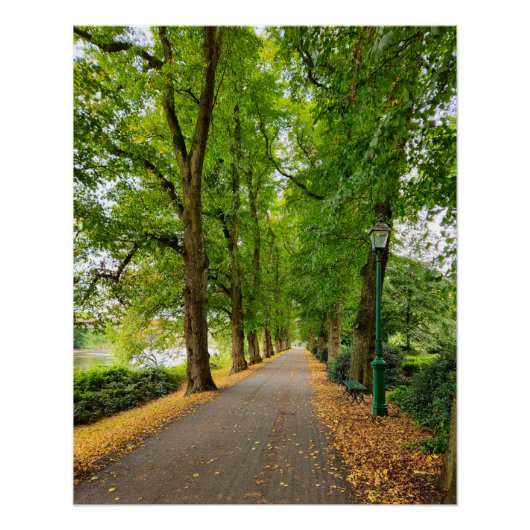 秋 ポスター (正面)