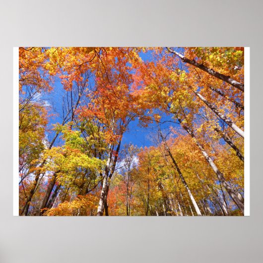 秋 ポスター (正面)