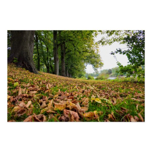 秋 ポスター (正面)