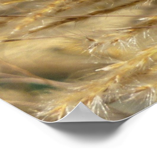 秋 ポスター (角)