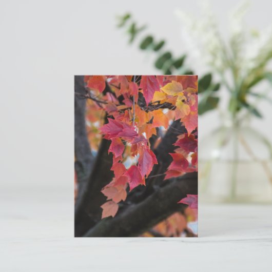 秋 ポストカード (スタンド正面)