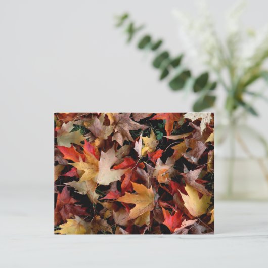 秋 ポストカード (スタンド正面)