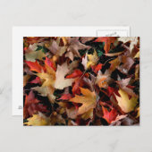 秋 ポストカード (正面/裏面)