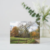 秋 ポストカード (スタンド正面)