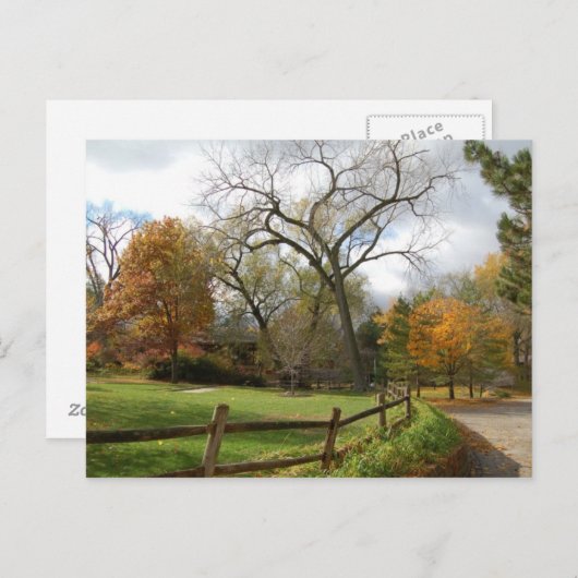 秋 ポストカード (正面/裏面)