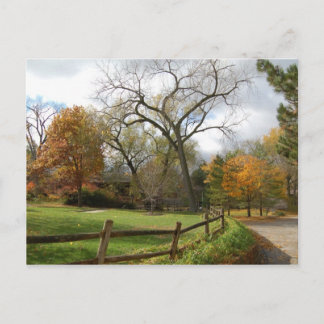 秋 ポストカード