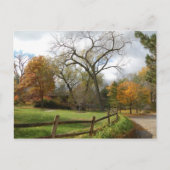 秋 ポストカード (正面)