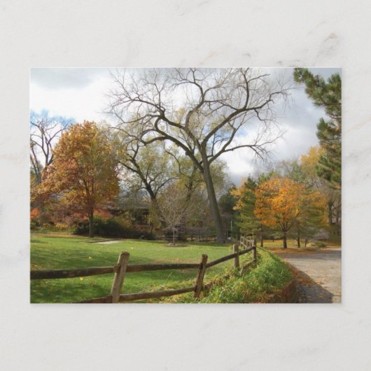 秋 ポストカード (正面)