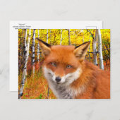 秋 ポストカード (正面/裏面)