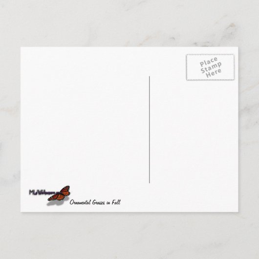 秋 ポストカード (裏面)