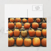 秋 ポストカード (正面/裏面)