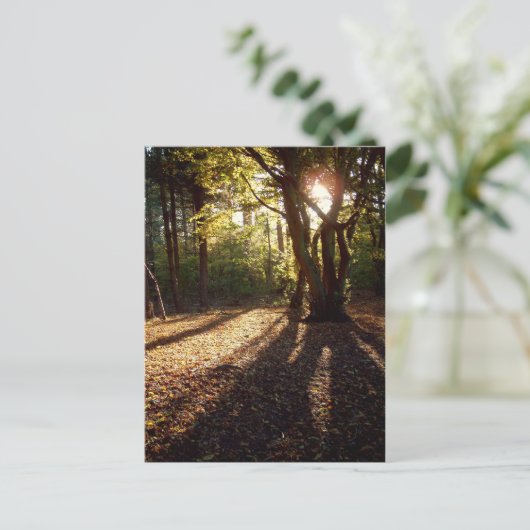 秋 | ポストカード (スタンド正面)