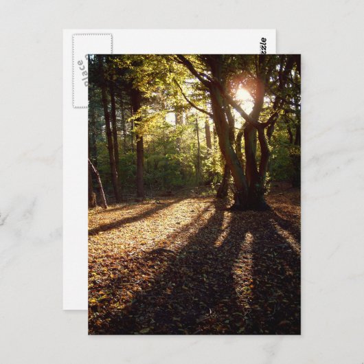 秋 | ポストカード (正面/裏面)