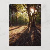 秋 | ポストカード (正面)