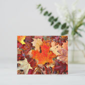 秋 ポストカード (スタンド正面)