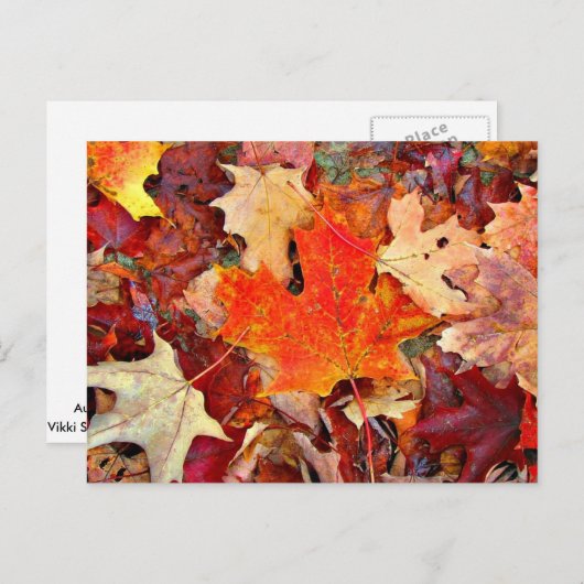 秋 ポストカード (正面/裏面)