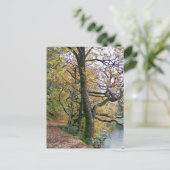 秋 ポストカード (スタンド正面)