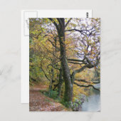 秋 ポストカード (正面/裏面)