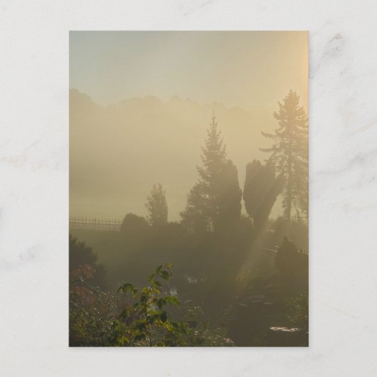 秋 ポストカード (正面)